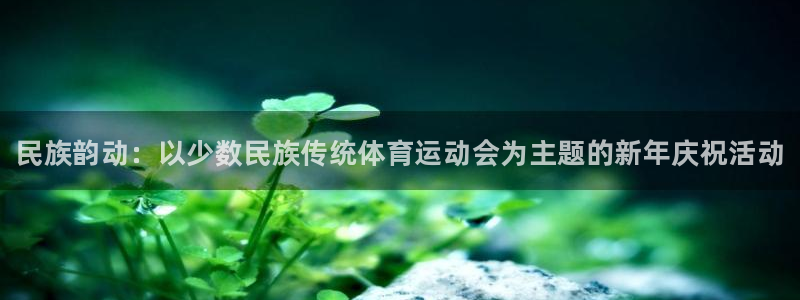 3377体育官网下载招商电话号码查询是多少：民族韵动