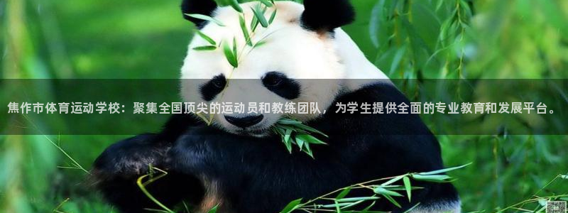 3377体育官网下载招商电话号码是多少号：焦作市体育