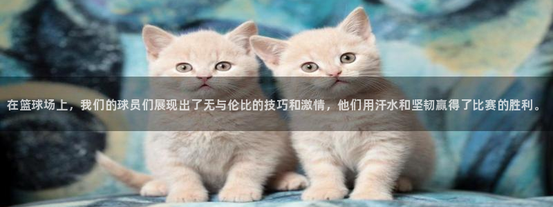 海南3377体育官网下载：在篮球场上，我们的球员们展