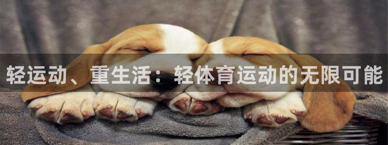 3377体育官方正版app娱乐