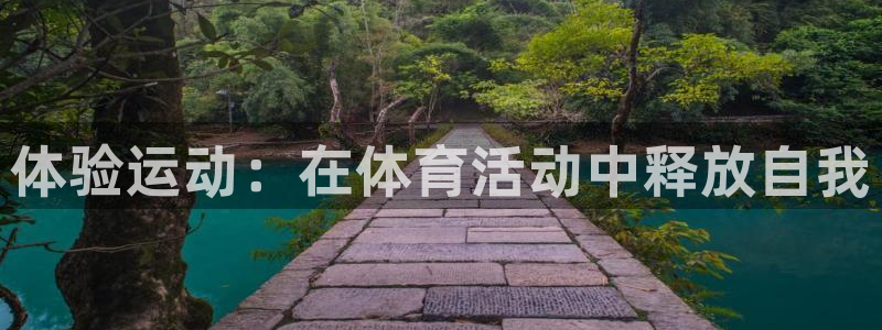 3377体育官网下载是干嘛的公司：体验运动：在体育活