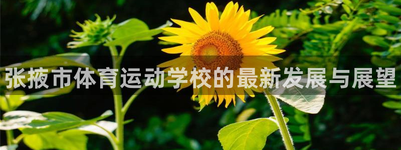 3377体育官方正版app集团E.ON：张掖市体育运动学校的