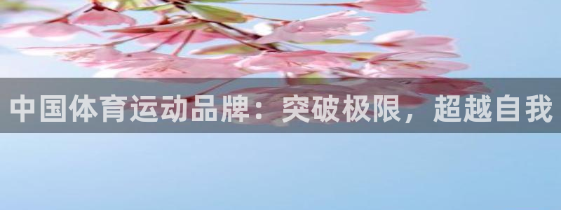3377体育官网下载招商电话是多少啊：中国体育运动品牌：突破