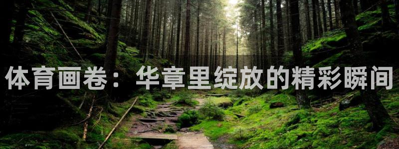 3377体育官网下载开户：体育画卷：华章里绽放的精彩