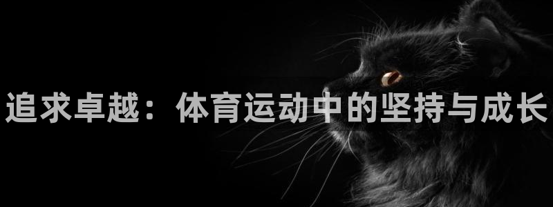 3377体育官方正版app娱乐下载：追求卓越：体育运