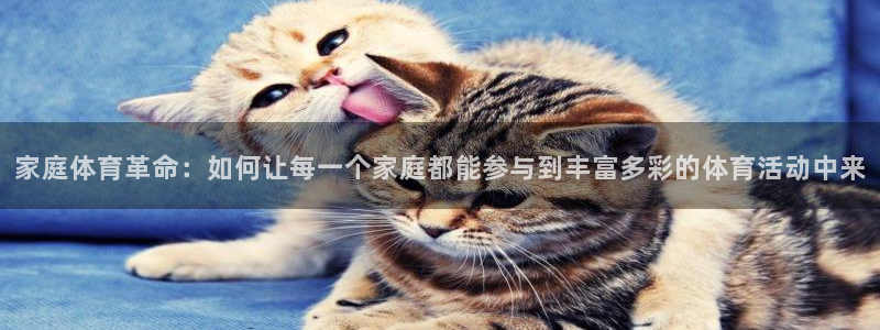 3377体育官方正版app集团logo：家庭体育革命