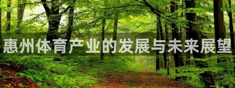 3377体育官网下载平台注册要钱吗是真的吗：惠州体育产业的发