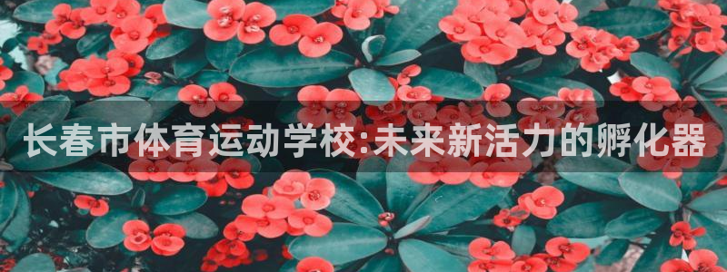 3377体育官网下载平台是正规平台吗