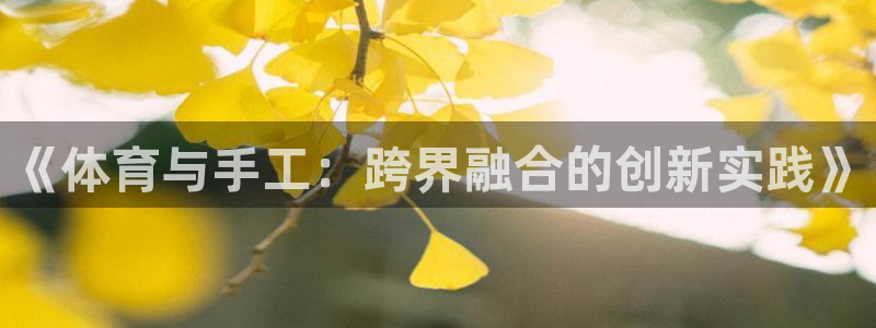 海南3377体育官网下载：《体育与手工：跨界融合的创新实践》