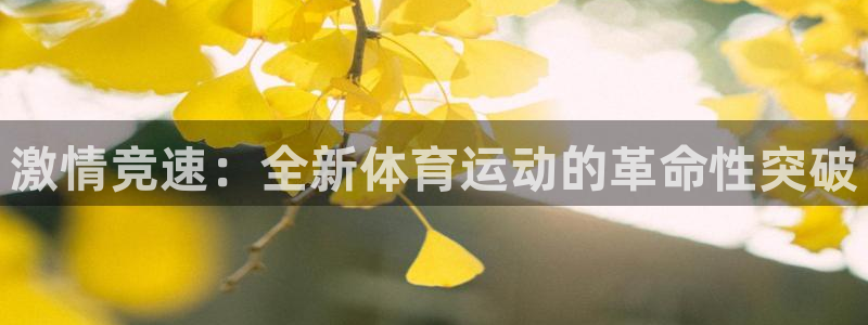 3377体育官网下载软件：激情竞速：全新体育运动的革命性突破