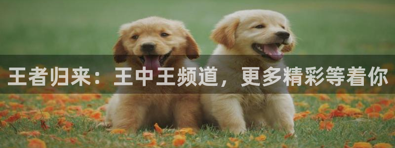 so米篮球体育直播nba：王者归来：王中王频道，更多精彩等着你