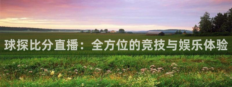 so米直播看球：球探比分直播：全方位的竞技与娱乐体验