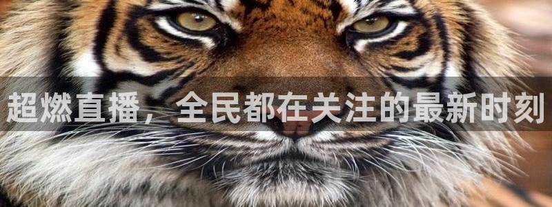 so米体育平台直播：超燃直播，全民都在关注的最新时刻