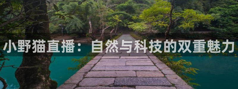 so米直播体育nba：小野猫直播：自然与科技的双重魅力