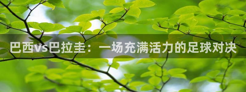 so米体育网页版：巴西vs巴拉圭：一场充满活力的足球对决