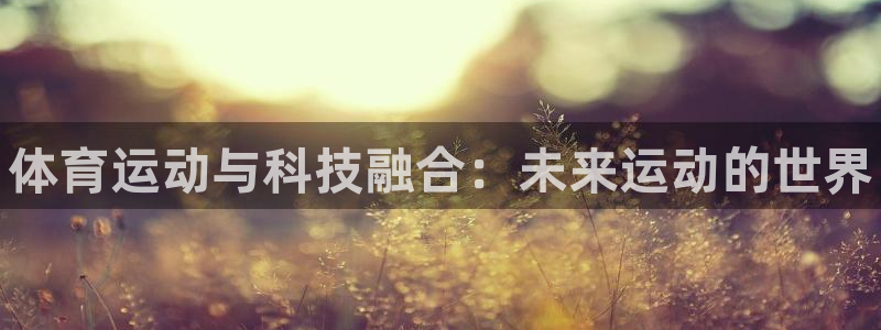 3377体育官方正版app集团简介