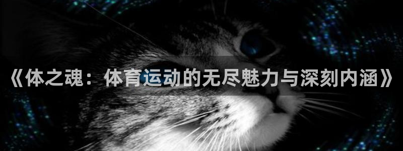 3377体育官网下载开户：《体之魂：体育运动的无尽魅力与深刻