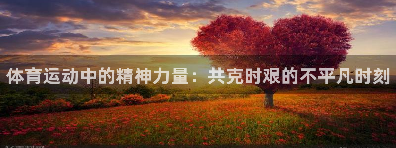 3377体育官方正版app集团简介：体育运动中的精神力量：共