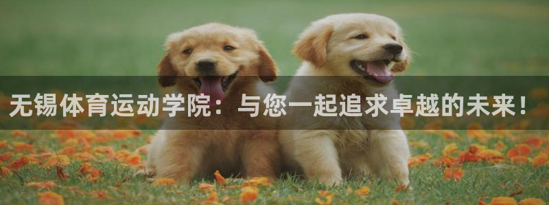 3377体育官网下载平台APP